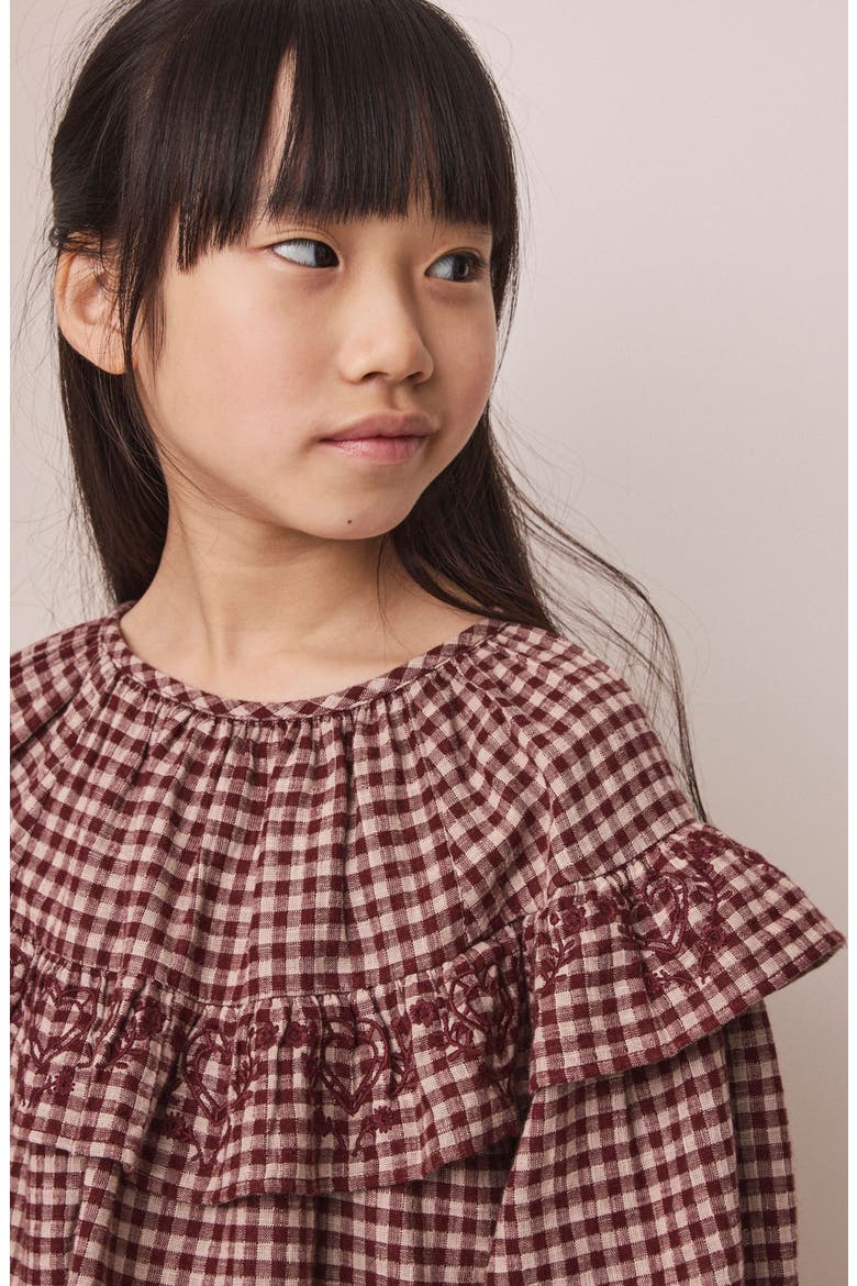 Kids' Check Embroidered Ruffle Blouse, Alternate, color, BROWN