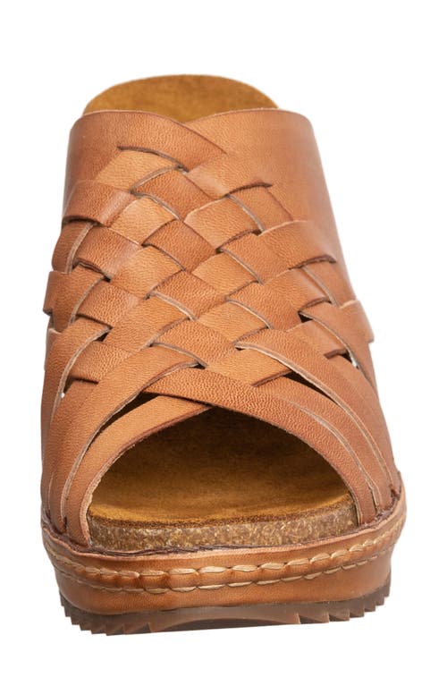 Antelope Daley Wedge Sandal In Taupe