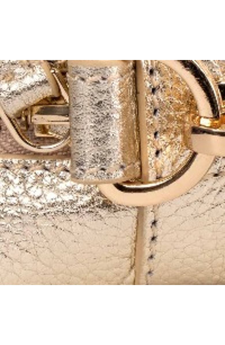 Kettlewell Cross Body Bag, Alternate, color, Pale Gold Metallic