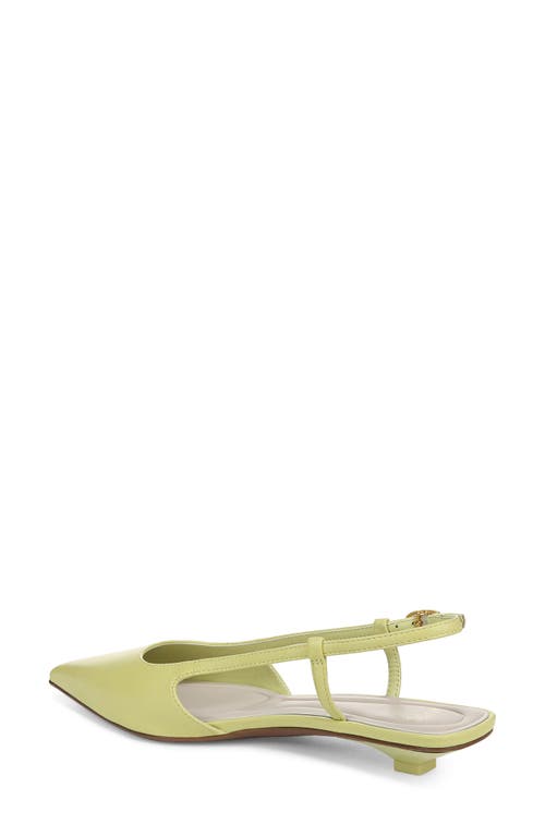 Sarto By Franco Sarto Pheby Slingback Pointed Toe Flat In Green