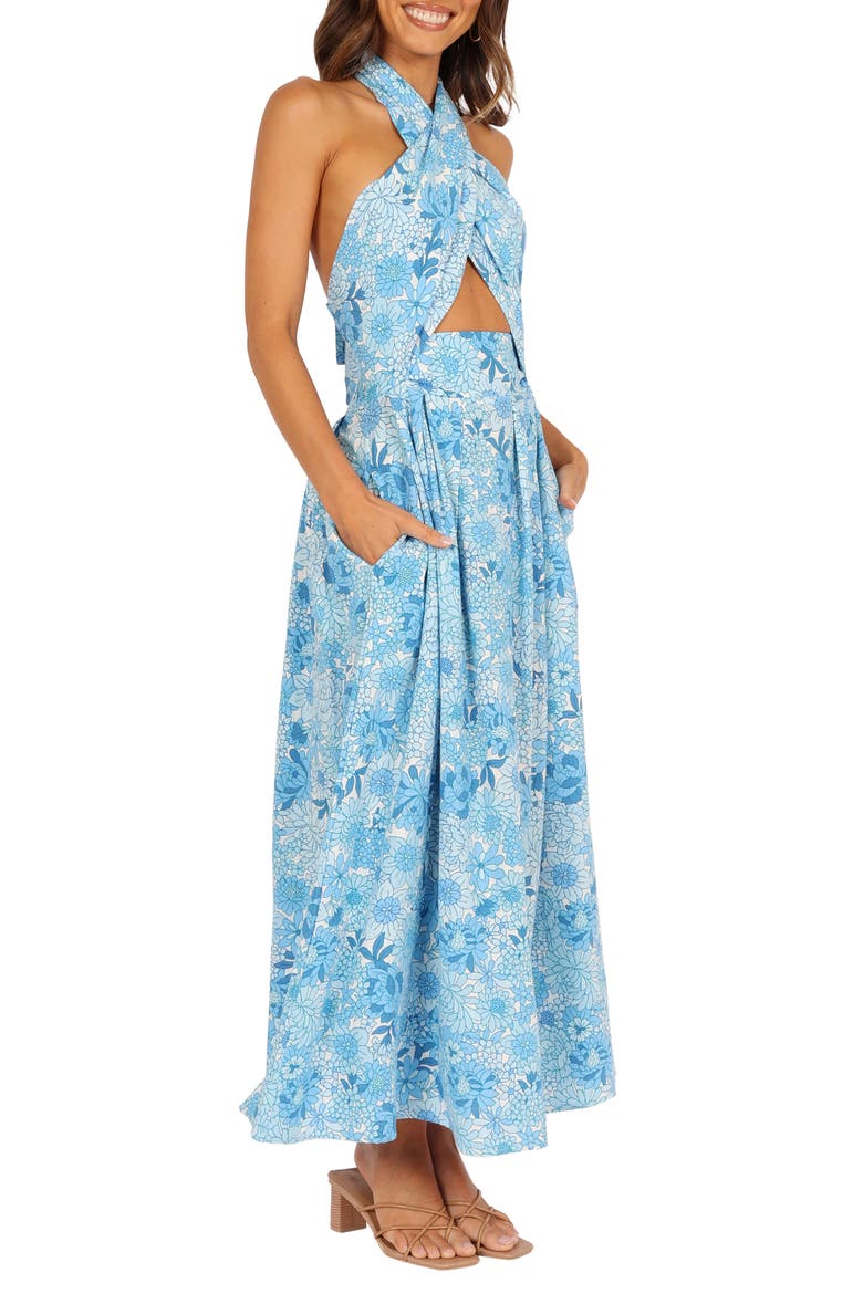 Clover Cotton Blend Maxi Dress, Alternate, color, BLUE FLORAL