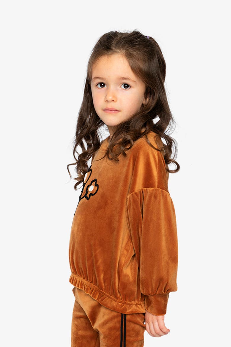 Velvet Shimmer Flower Appliqué Elastic Hem Top, Alternate, color, Brown