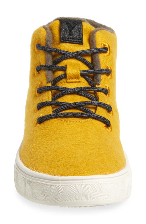 Yy Nation Alto Water Resistant Wool Blend High Top Sneaker In Spectra Yellow/white