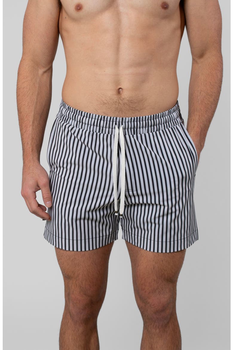 Espresso Swim Trunk, Alternate, color, Espresso