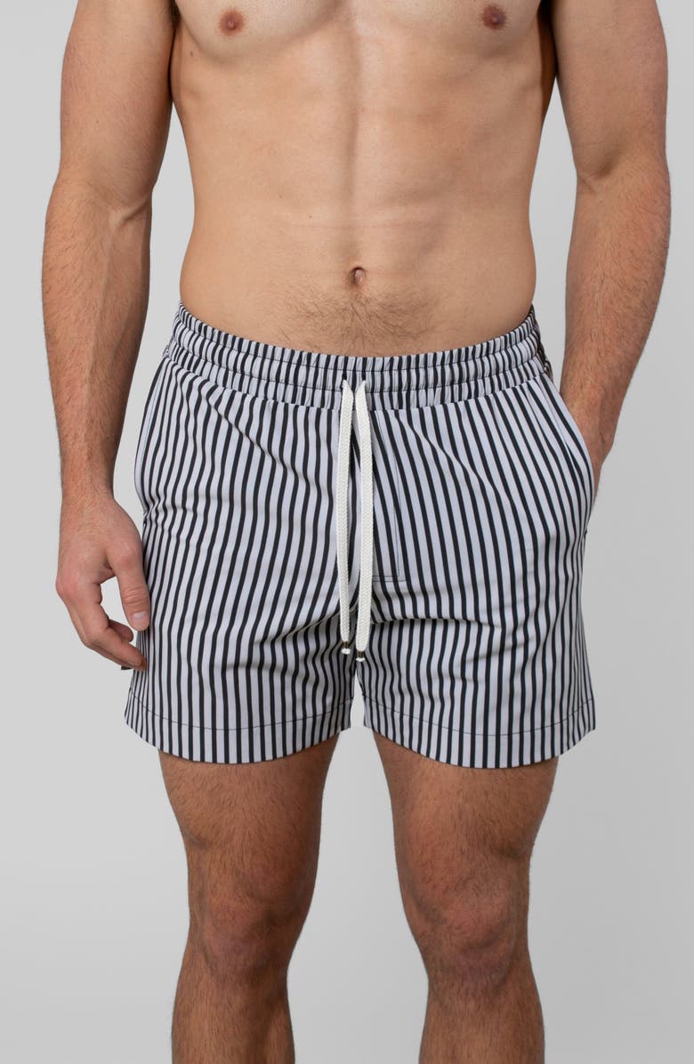 LEISURE LAB Espresso Swim Trunk, Alternate, color, Espresso