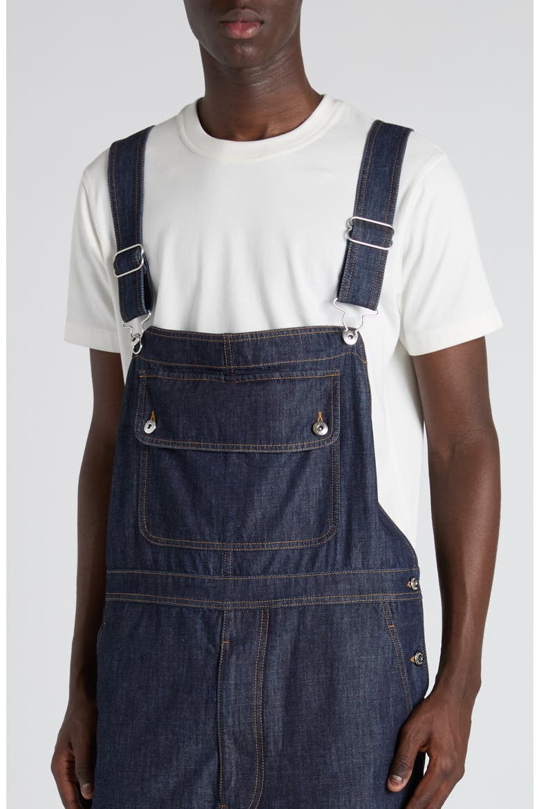 Denim Overalls, Alternate, color, 4245 INDIGO