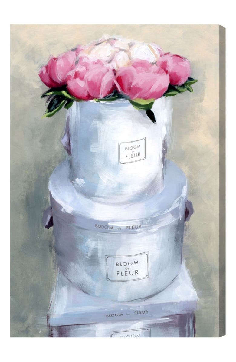 Oliver Gal Special Delivery Canvas Wall Art, Main, color, 