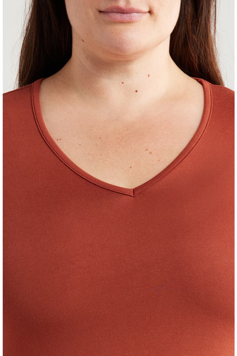 V-Neck Jersey Swing Top, Alternate, color, BROWN