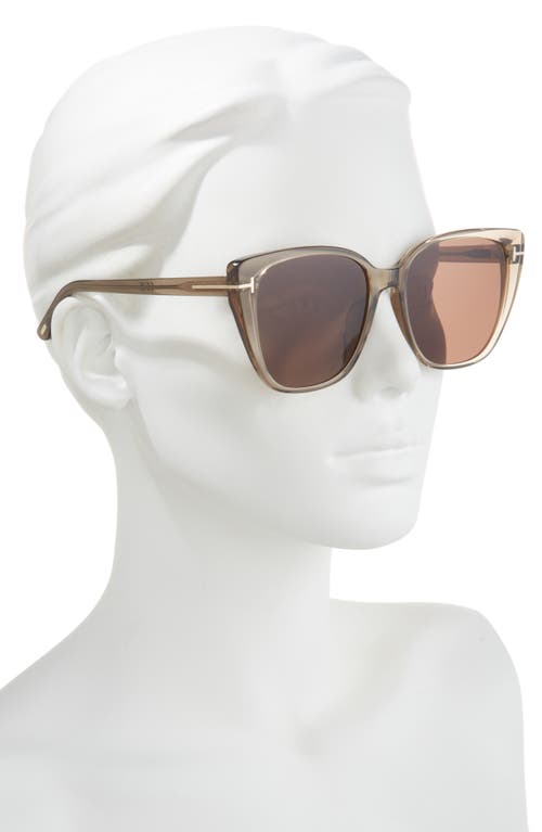 TOM FORD TOM FORD 60MM ROUND SUNGLASSES