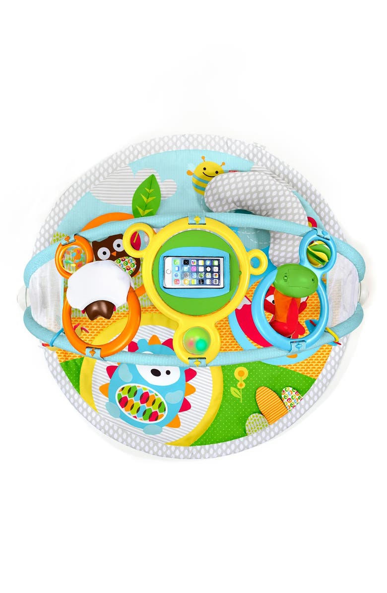 Skip Hop 'Amazing Arch' Activity Gym, Alternate, color, 