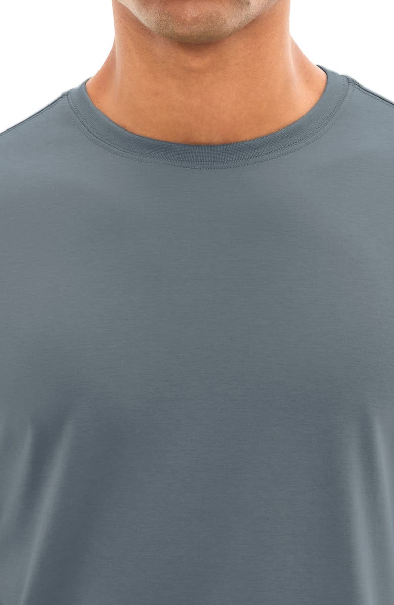 Robert Barakett Georgia Pima Cotton T-Shirt, Alternate, color, Ocean View