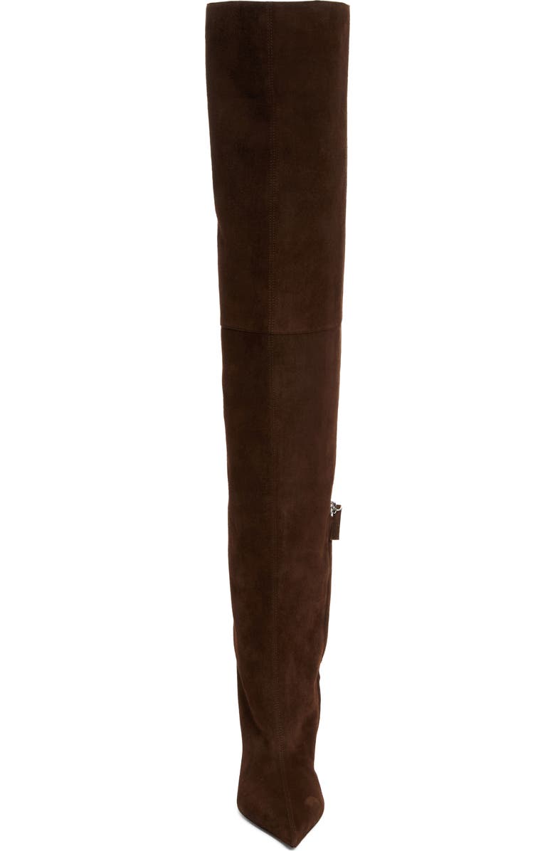 Amina Muaddi Fiona Pointed Toe Thigh High Boot, Alternate, color,