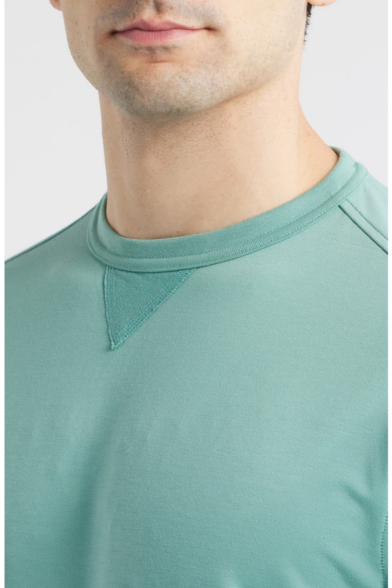 Willard Crewneck Sweatshirt, Alternate, color, SUBLIME
