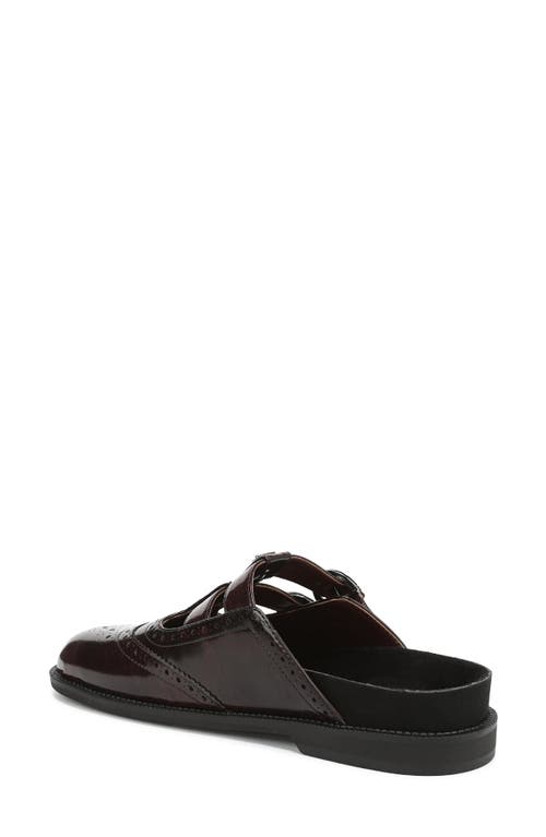 Circus Ny By Sam Edelman Claudia Mule In Brown