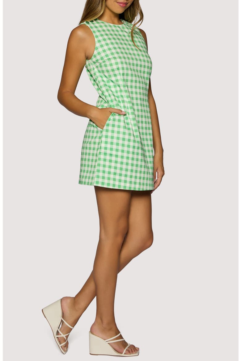 Willow Breeze Gingham Minidress, Alternate, color, GREEN