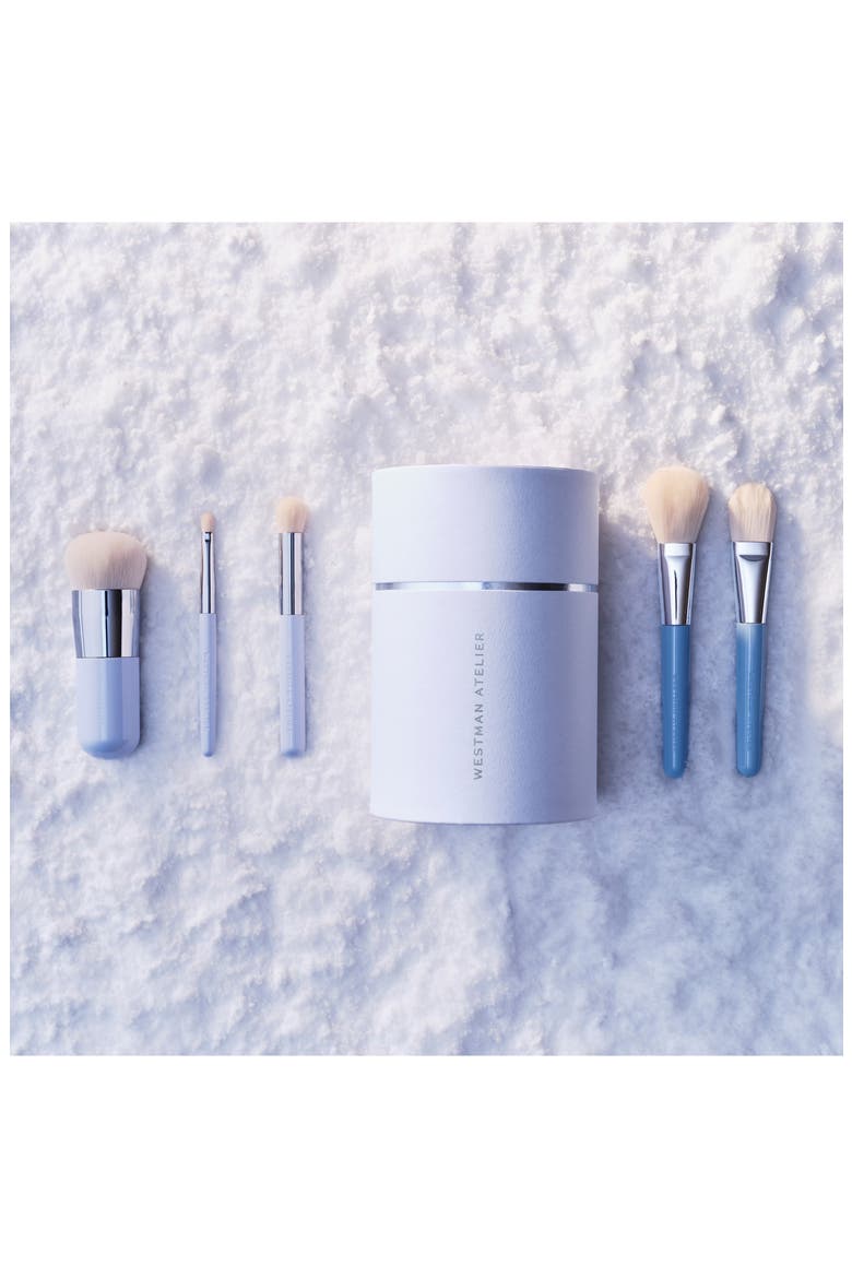 Complexion Brush Holiday Set $392 Value, Alternate, color, COMPLEXION BRUSHES