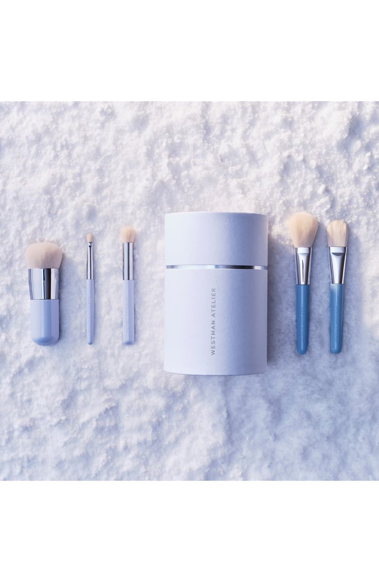 Complexion Brush Set $392 Value
