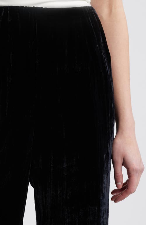 Rails Brissa Velvet Flare Pants In Black Velvet
