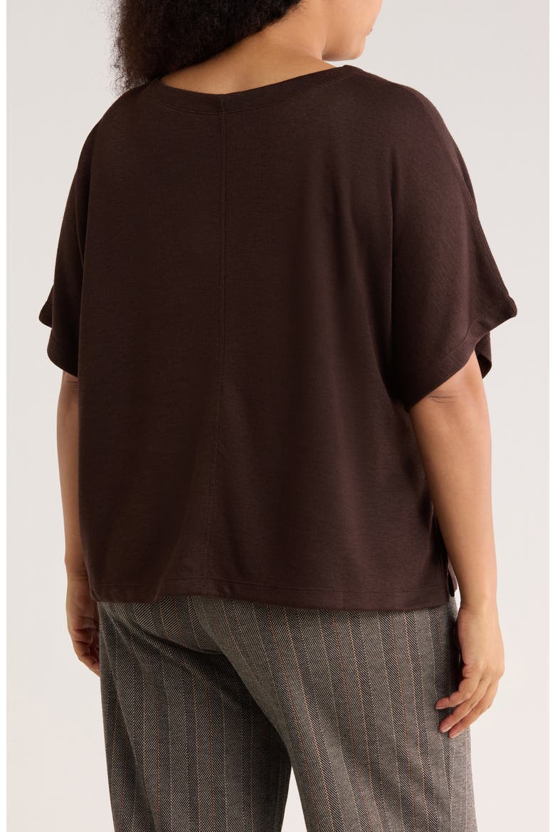 Short Sleeve Sweater, Alternate, color, CHOCOLATE BROWN