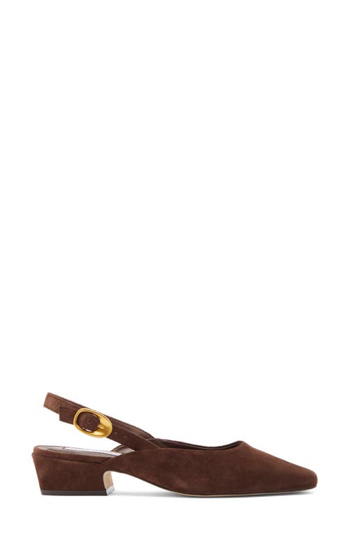 Steve Madden Diona Slingback Pump In Brown
