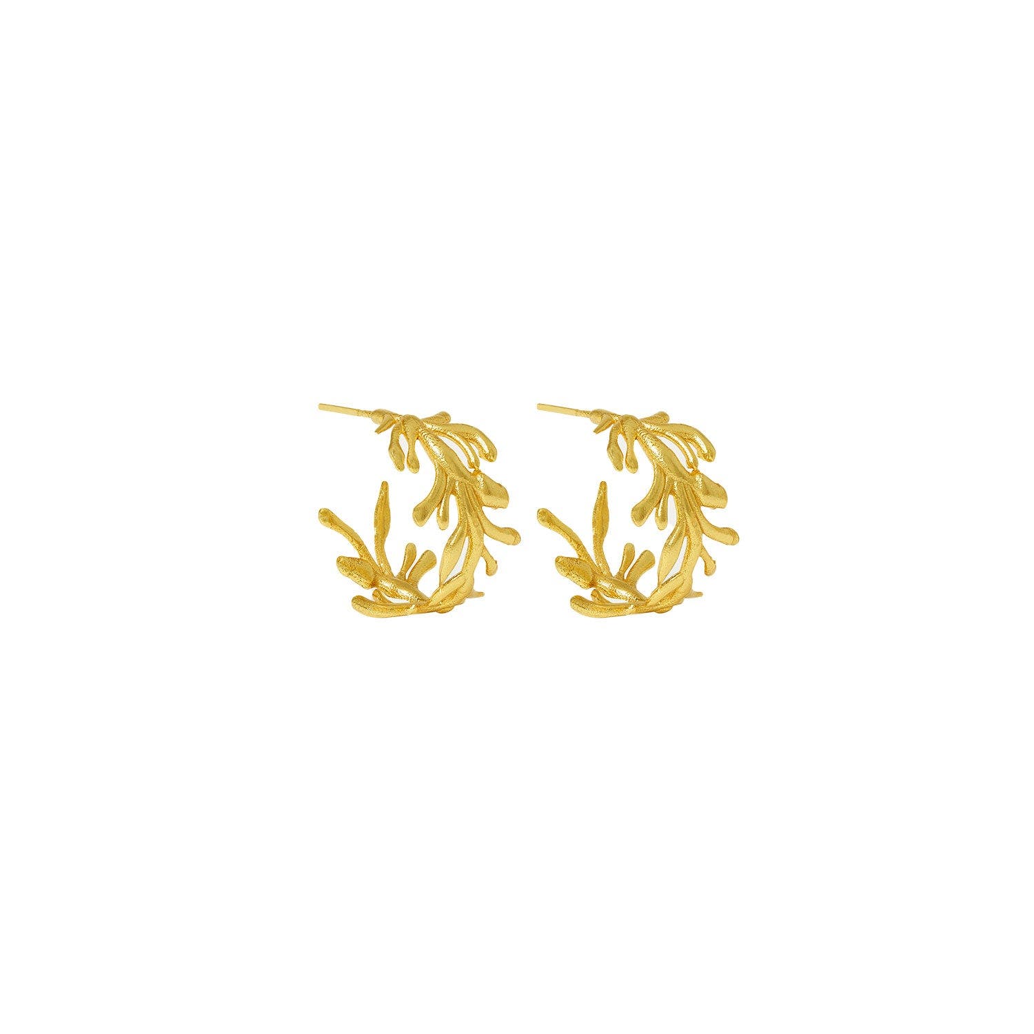 selected Brass