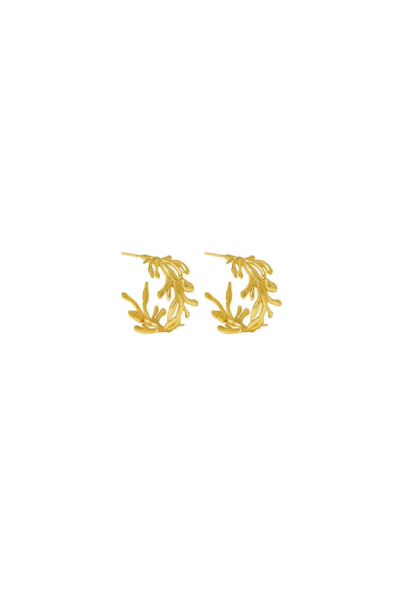 Zephyr Hoop Earrings, Main, color, Brass