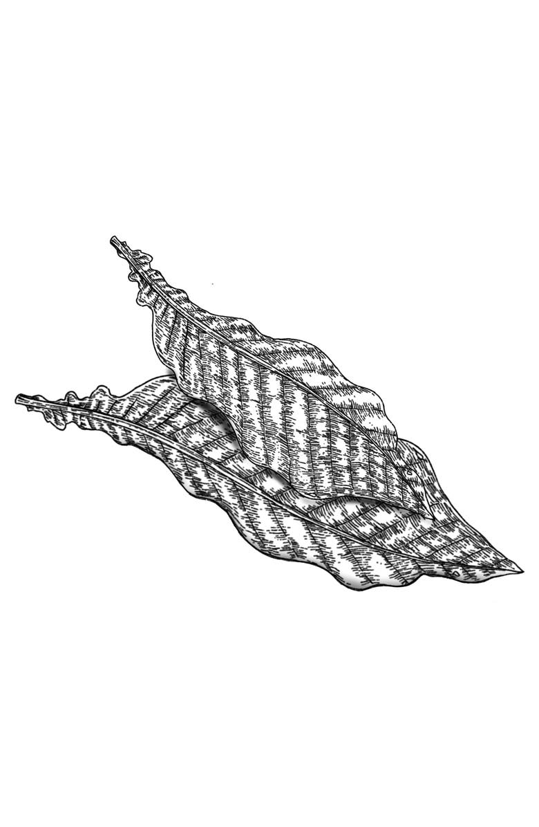 AMOUAGE Opus XIV Royal Tobacco Eau de Parfum, Alternate, color,