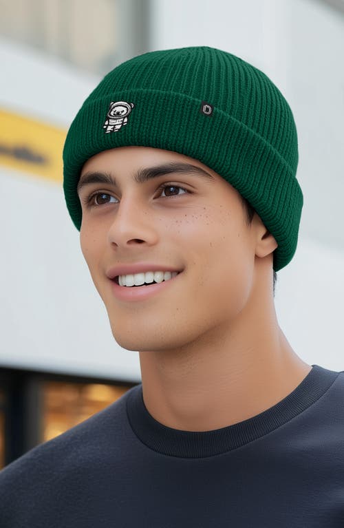 Dalix Ice Bear Beanie In Green