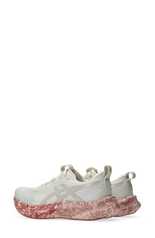 Asics ® Noosa Tri 16 Running Shoe In Cream/breeze