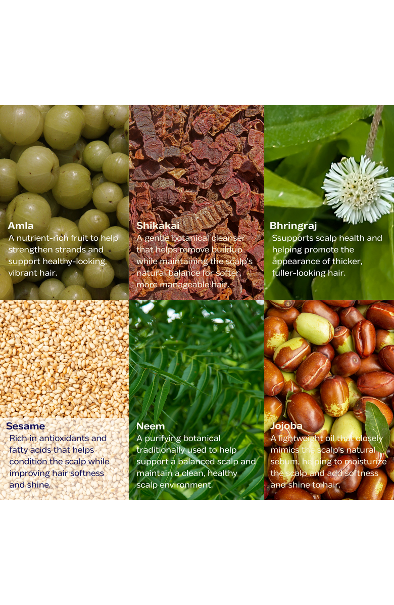 Luna Nectar Renaissance Nourishing Hair Oil, Alternate, color, Honey