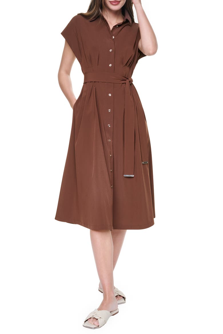 Belted Midi Shirtdress, Main, color, JAVA