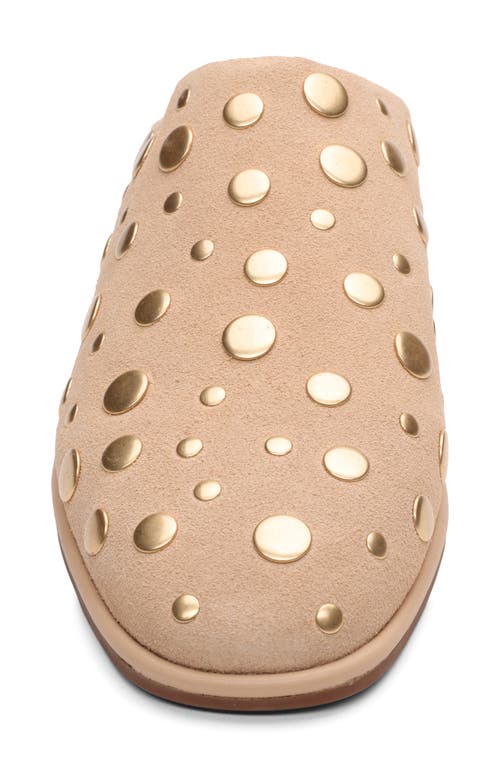 Sanctuary Bari Stud Mule In Nude