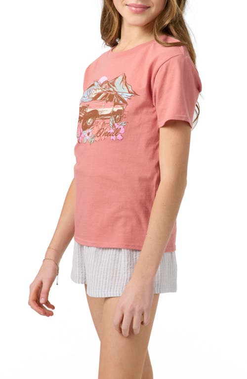 O'neill Kids' Sunset Crossing Cotton Graphic T-shirt In Pink