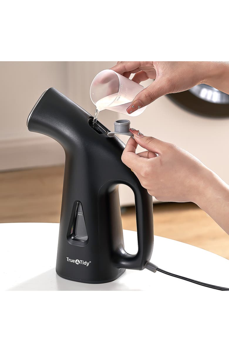 TRUE AND TIDY TS-38 Handheld Garment Steamer, Alternate, color, Black