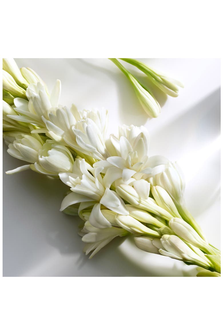 Signature Eau de Parfum Rollerball, Alternate, color, NO COLOR