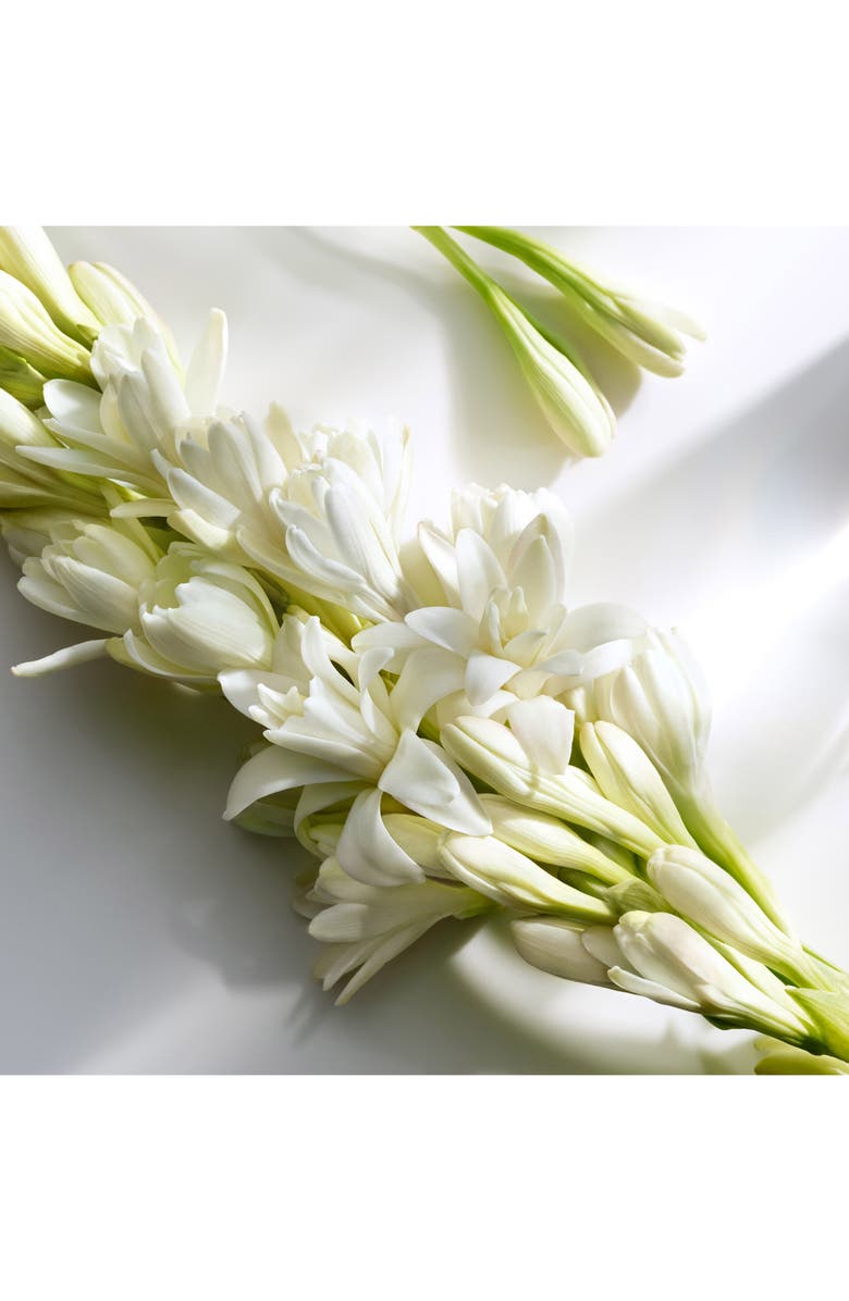 Michael Kors Signature Eau de Parfum Rollerball, Alternate, color,