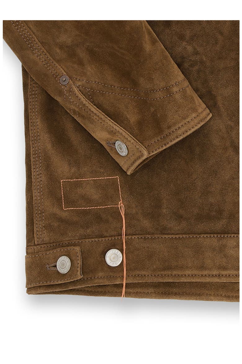 Fedra Suede Leather Jacket, Alternate, color, BROWN