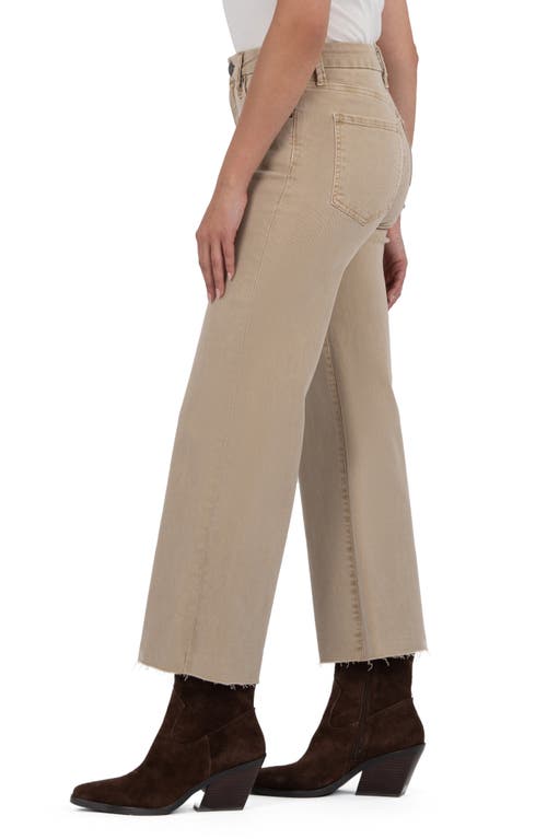 Kut From The Kloth Meg Fab Ab Raw Hem High Waist Ankle Wide Leg Jeans In Brown