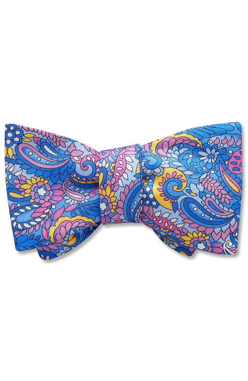 Beau Ties Of Vermont Clarkia Bow Tie In Blue
