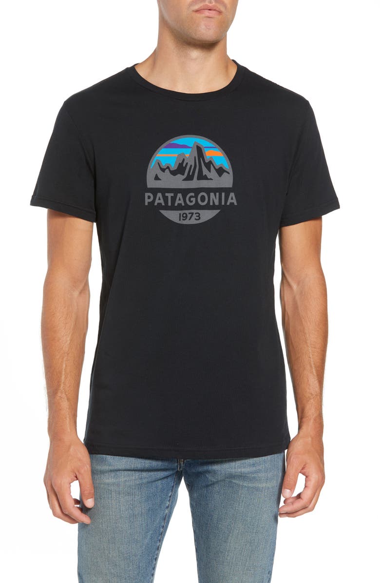 Patagonia Fitz Roy Scope Crewneck T-Shirt, Main, color, 