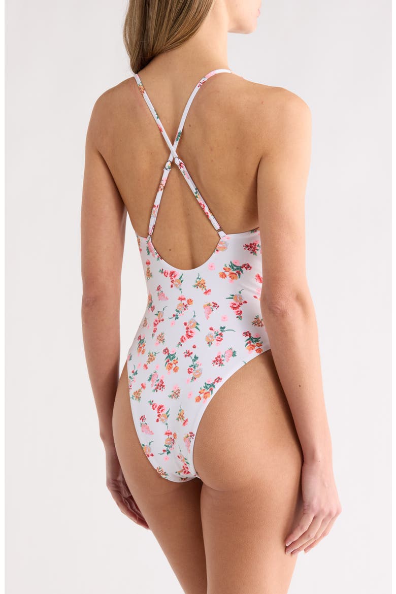 Luster One-Piece Swimsuit, Alternate, color, OPEN BROWN