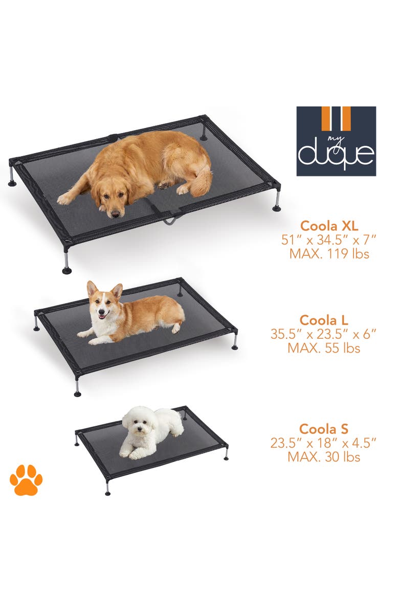 My Duque Pet Bed, 51 Inches x 34.5 Inches, Alternate, color, Black