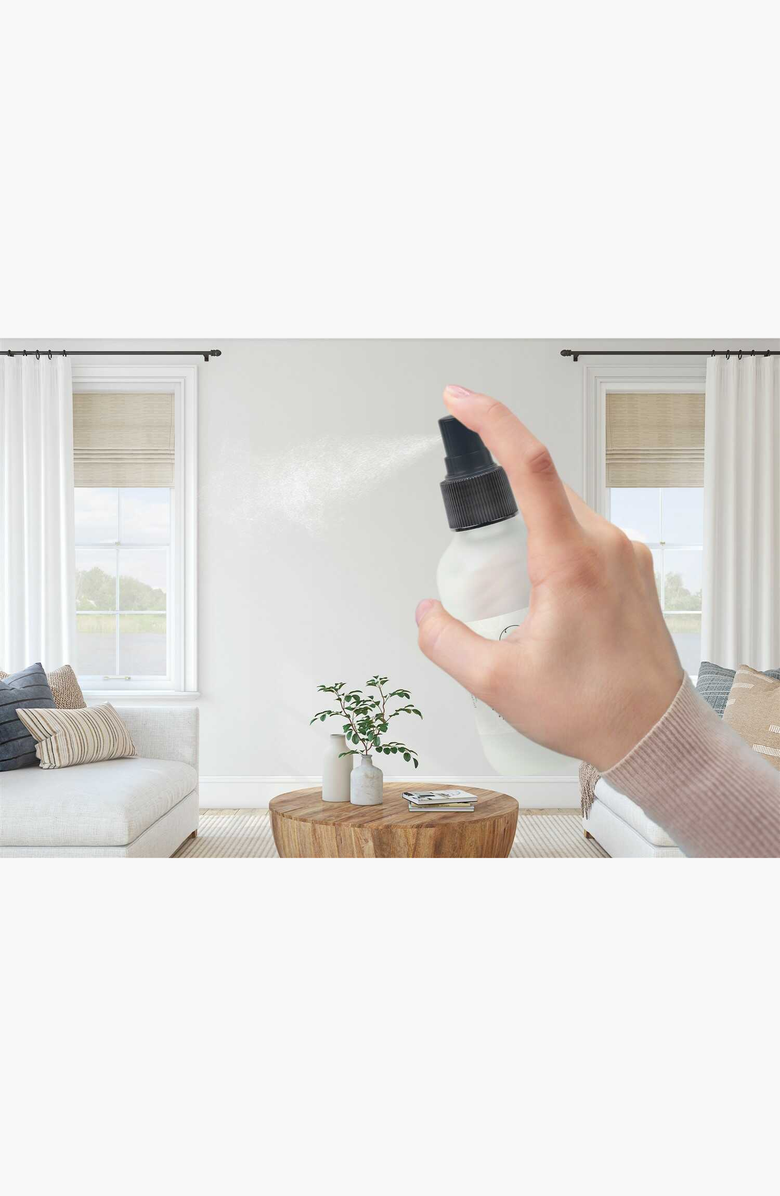 Lizush Eucalyptus Essential Home Spray, Alternate, color, NO COLOR