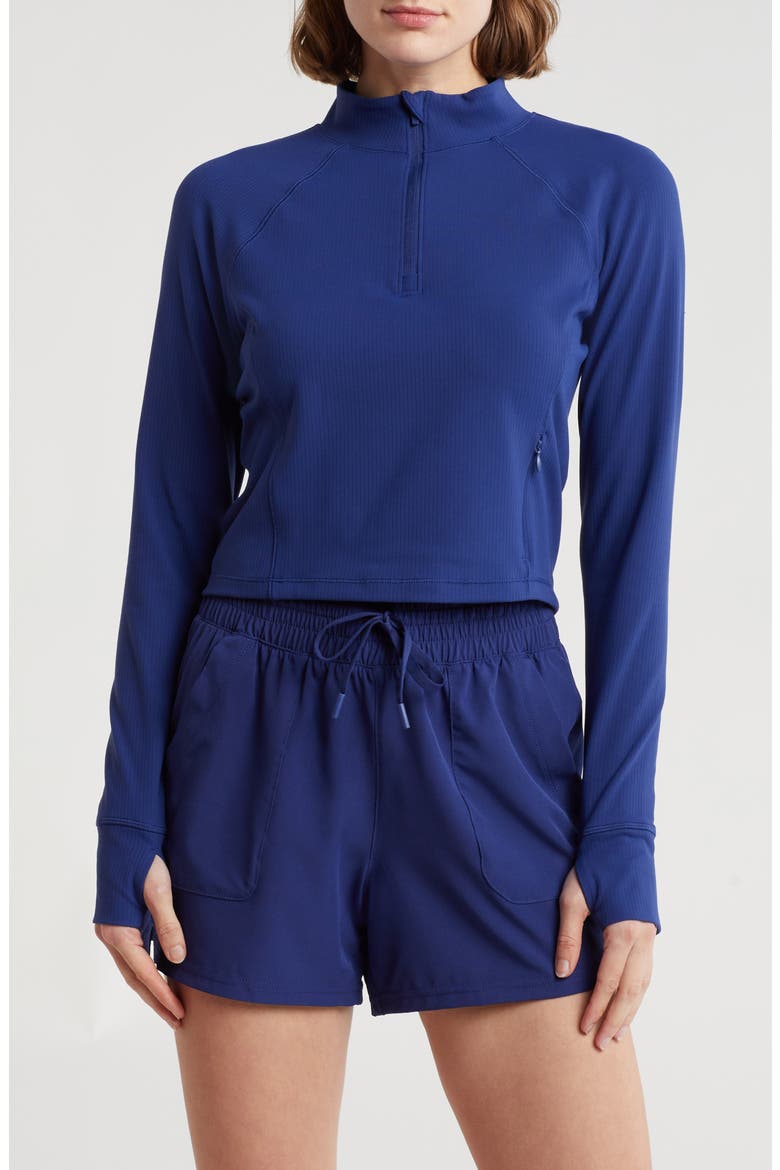 Karina Crop Half Zip Pullover, Main, color, BLUEPRINT