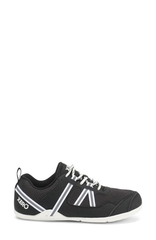 Xero Shoes Prio Barefoot Sneaker In Multi