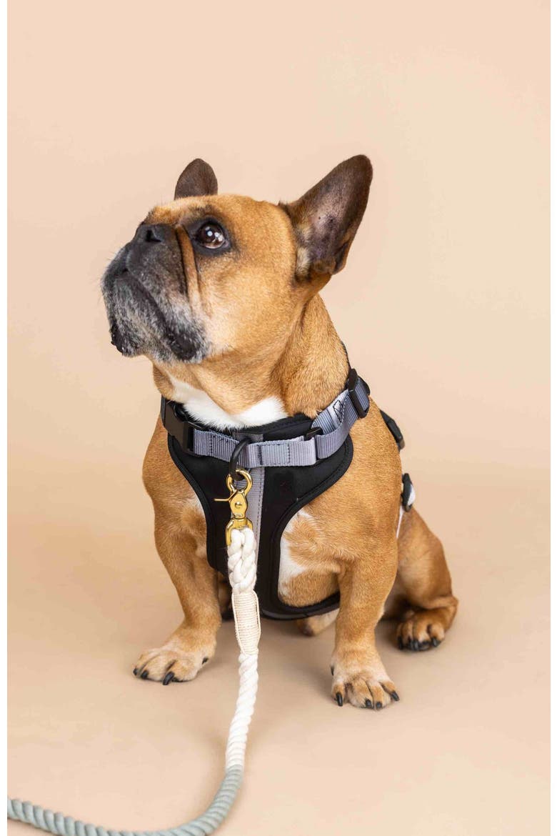 Rowan Dog Harness, Alternate, color, Rowan