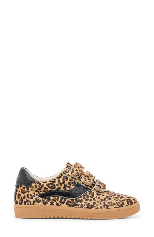 Dolce Vita Notice Sneaker In Brown
