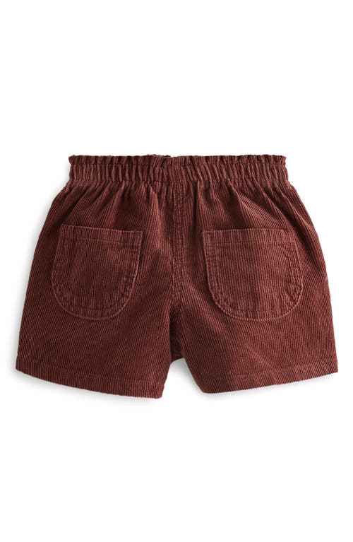 Next Kids' Corduroy Shorts & Cat Tights In Brown
