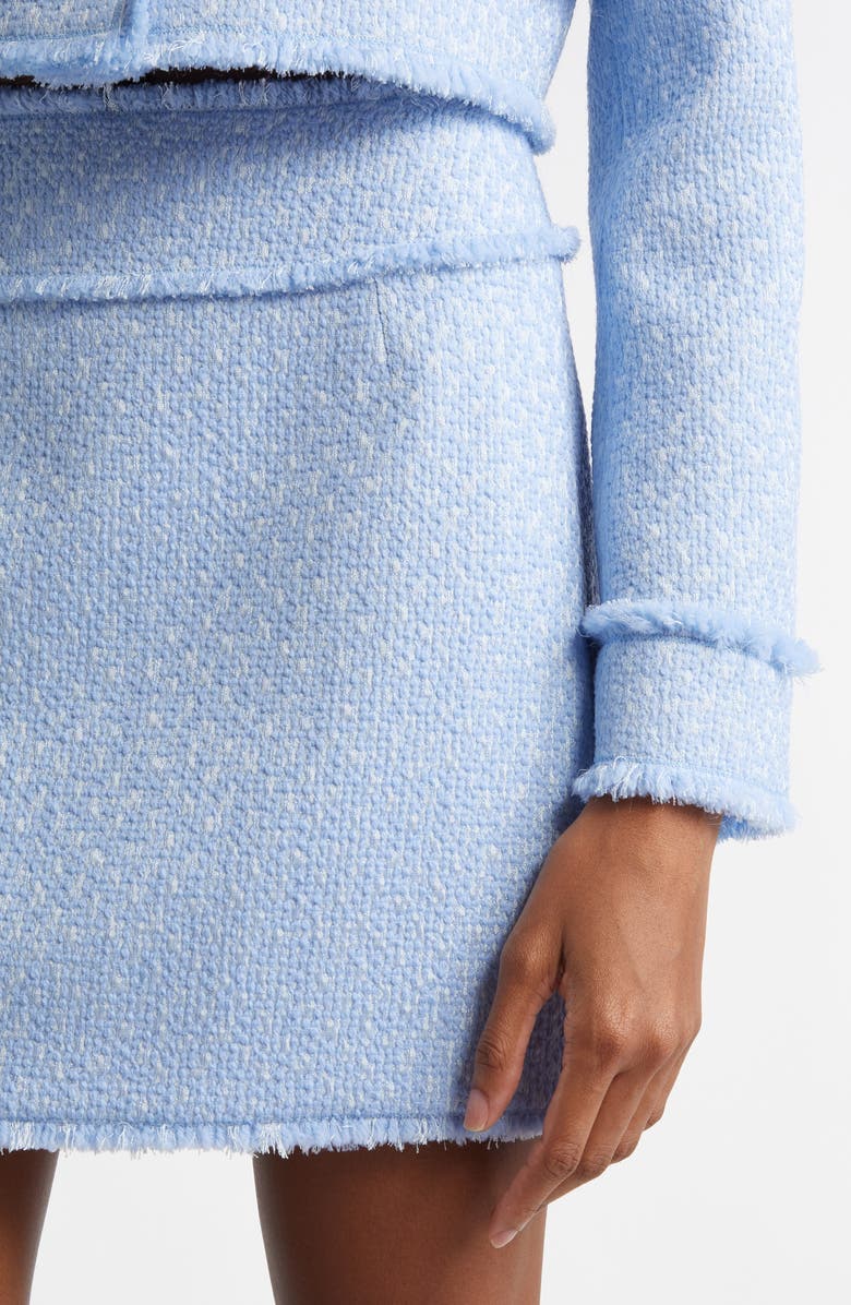 Dolce&Gabbana Rachel Tweed A-Line Skirt, Alternate, color,