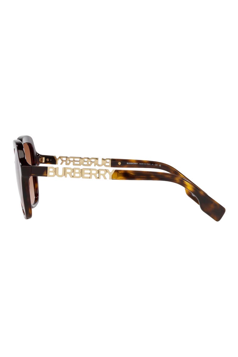 Joni 55mm Square Sunglasses, Alternate, color, DARK HAVANA